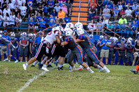 Sports/Action